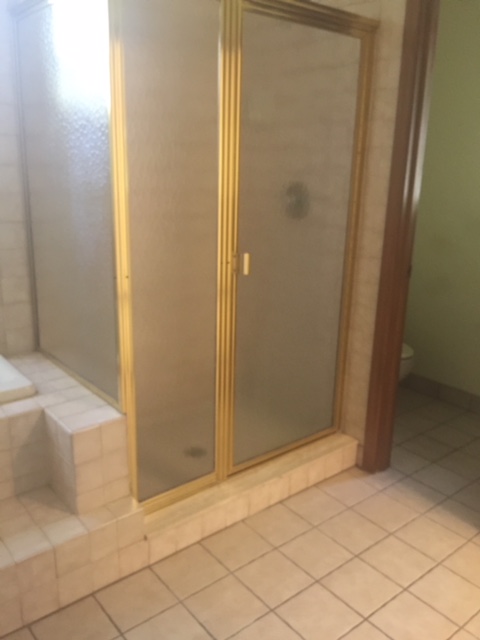 Master Shower Before