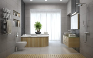 Bathroom Design Ideas